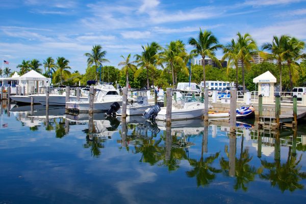 52207-Coconut-Grove-2354767410